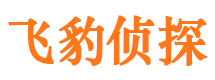 清浦市侦探